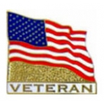 VETERAN PIN UNITED STATES FLAG PIN